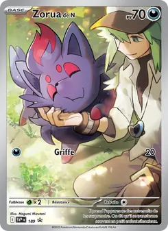 Zorua de N · visuel de référence
