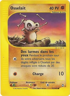 Leveinard · visuel de référence