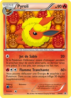 Pyroli · visuel de référence