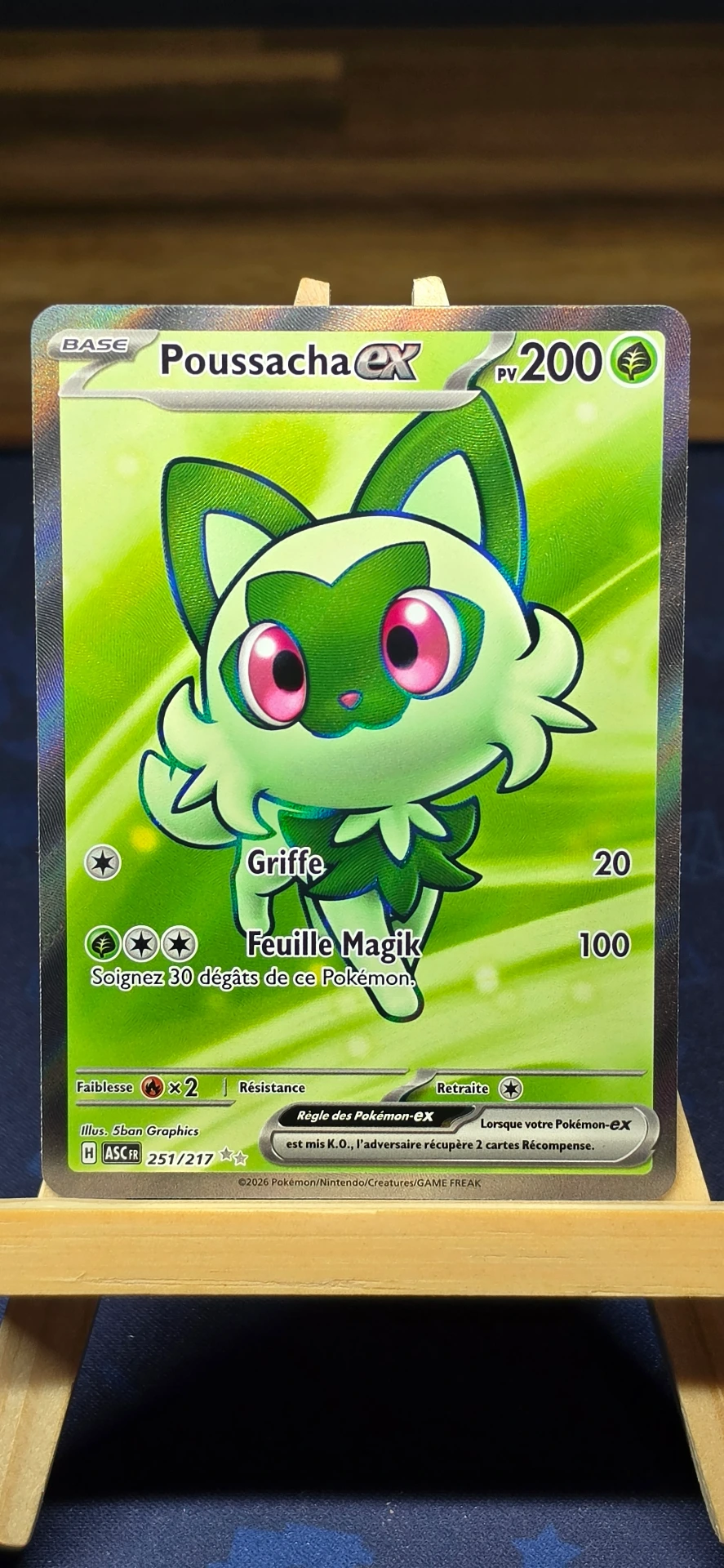 [CARD000811] Poussacha ex - CARD000811
