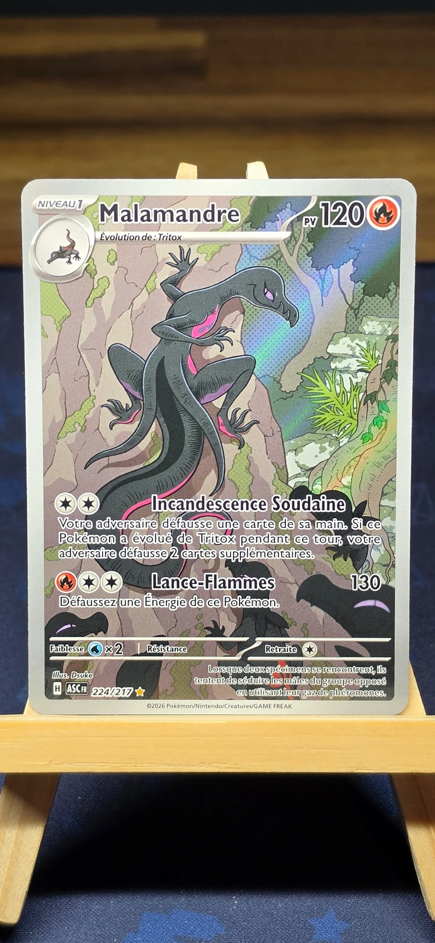 [CARD000817] Malamandre - CARD000817