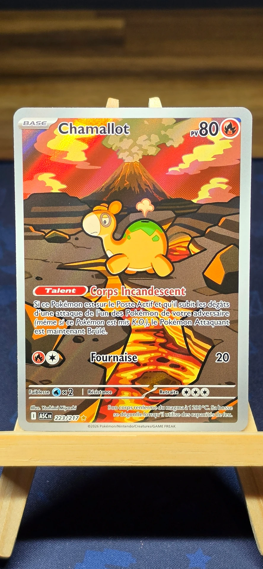 [CARD000818] Chamallot  - CARD000818