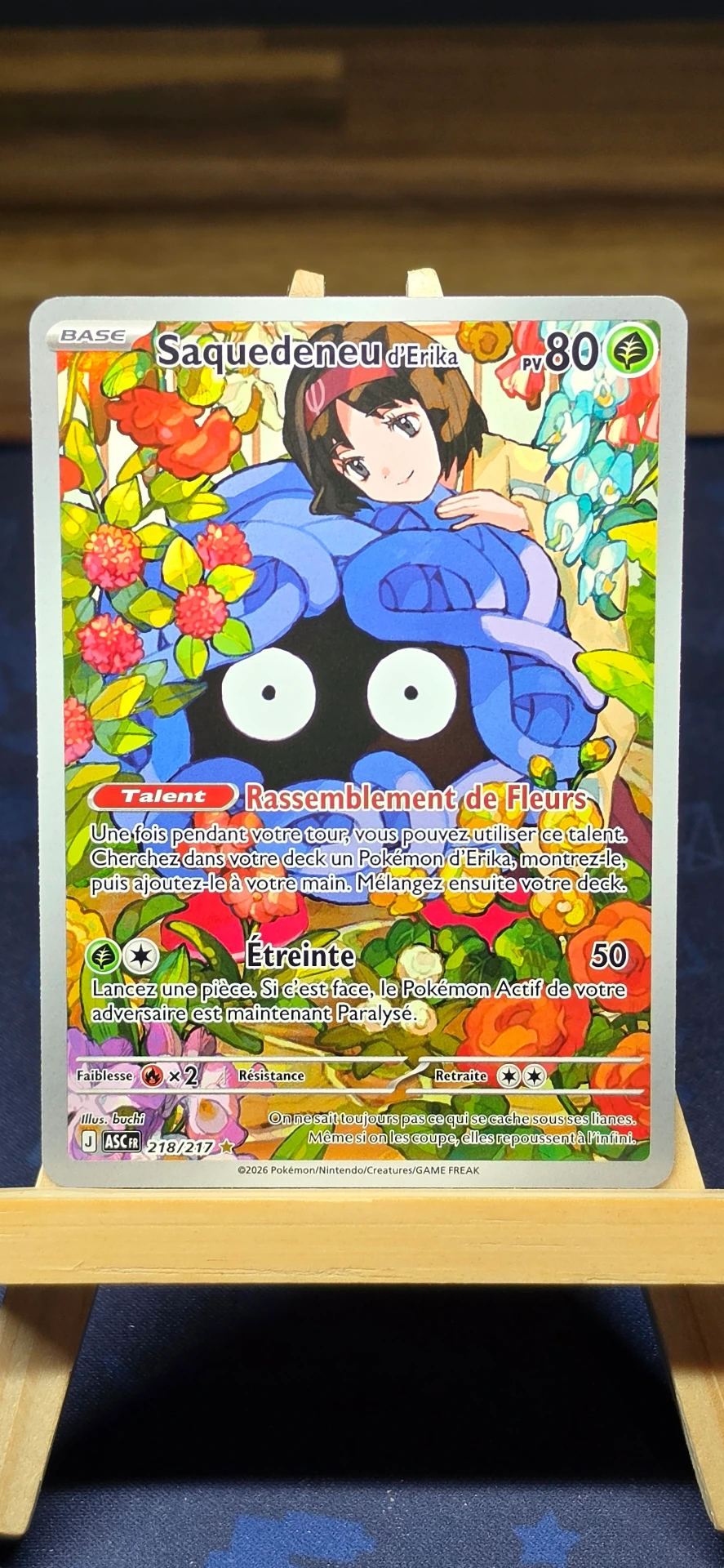 [CARD000822] Saquedeneu de Erika - CARD000822