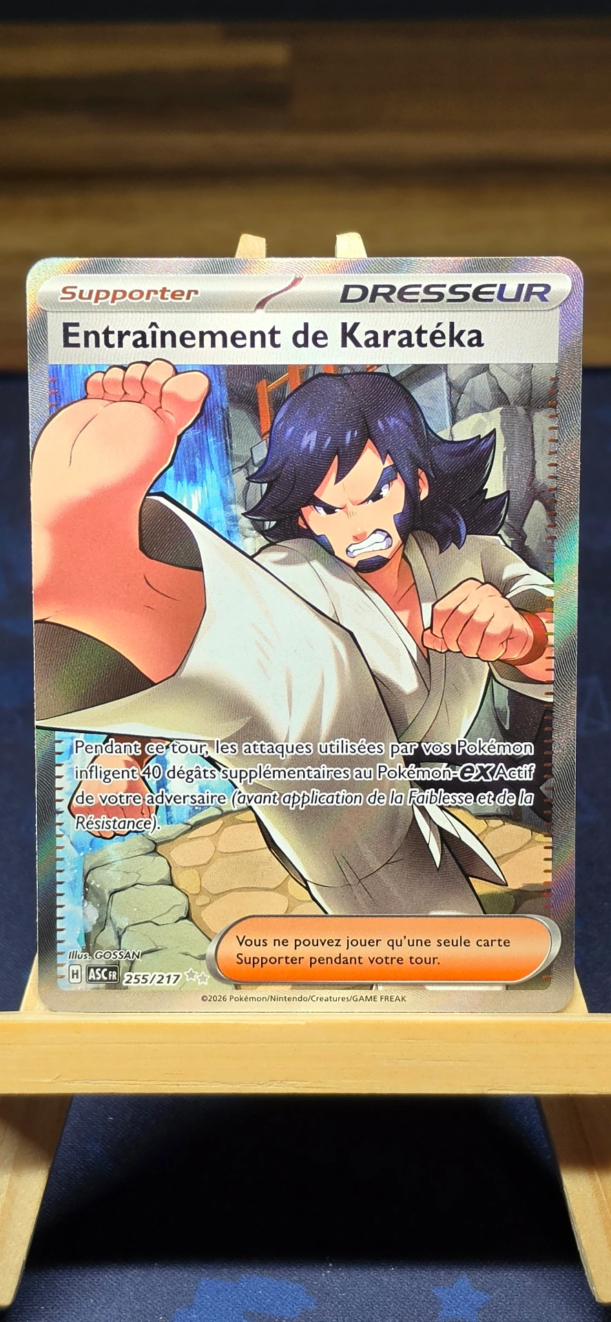 [CARD000838] Entraînement de Karatéka - CARD000838