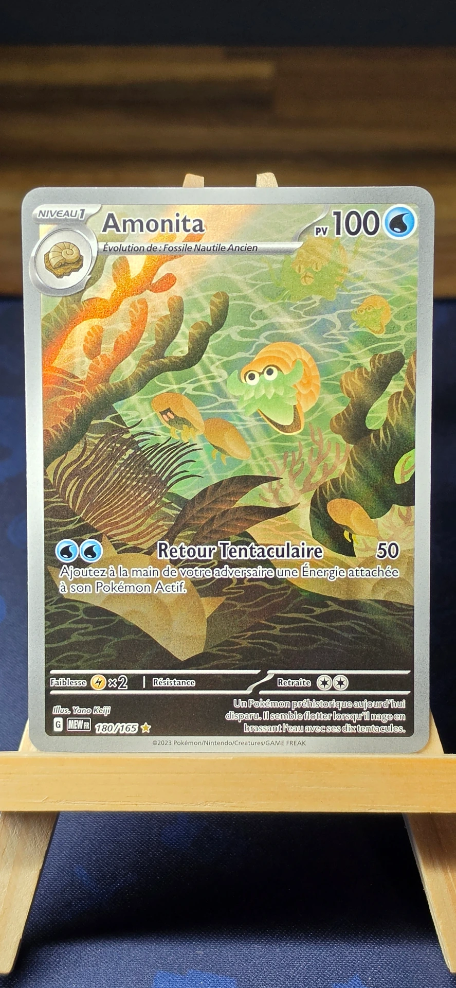 [CARD000855] Amonita  - CARD000855