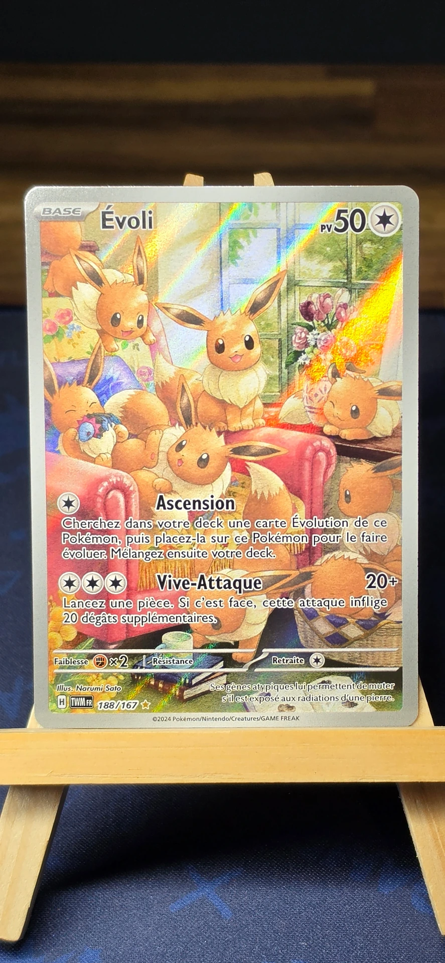 [CARD000856] Évoli  - CARD000856
