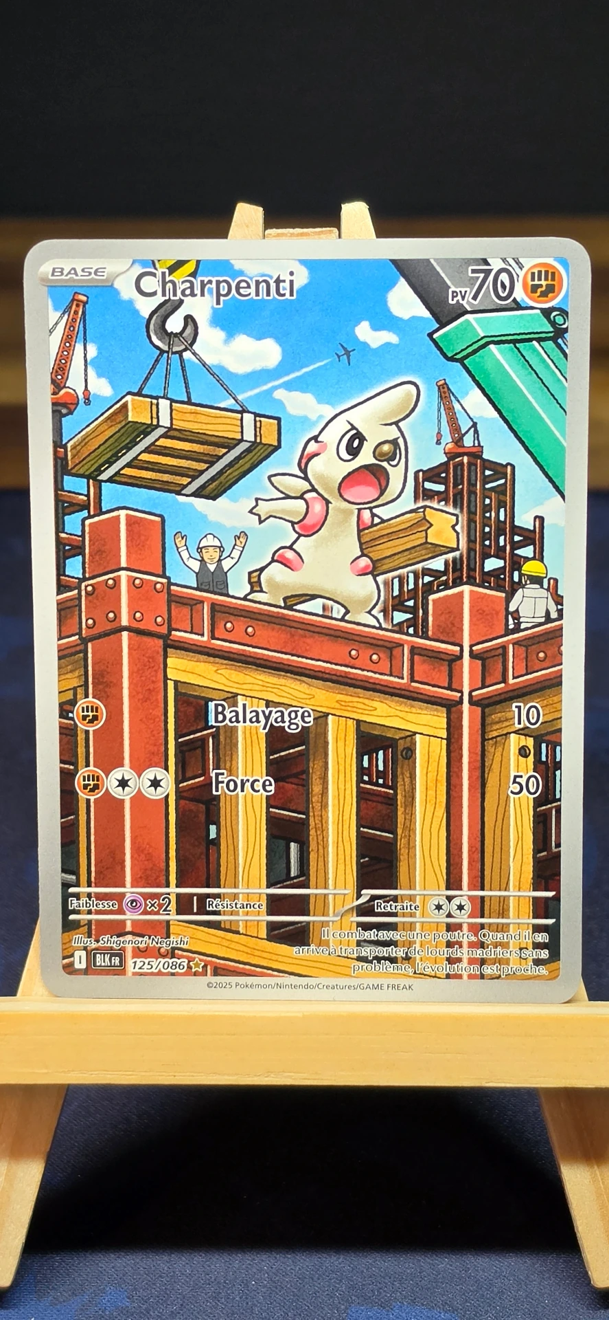 [CARD000051] Charpenti  - CARD000051