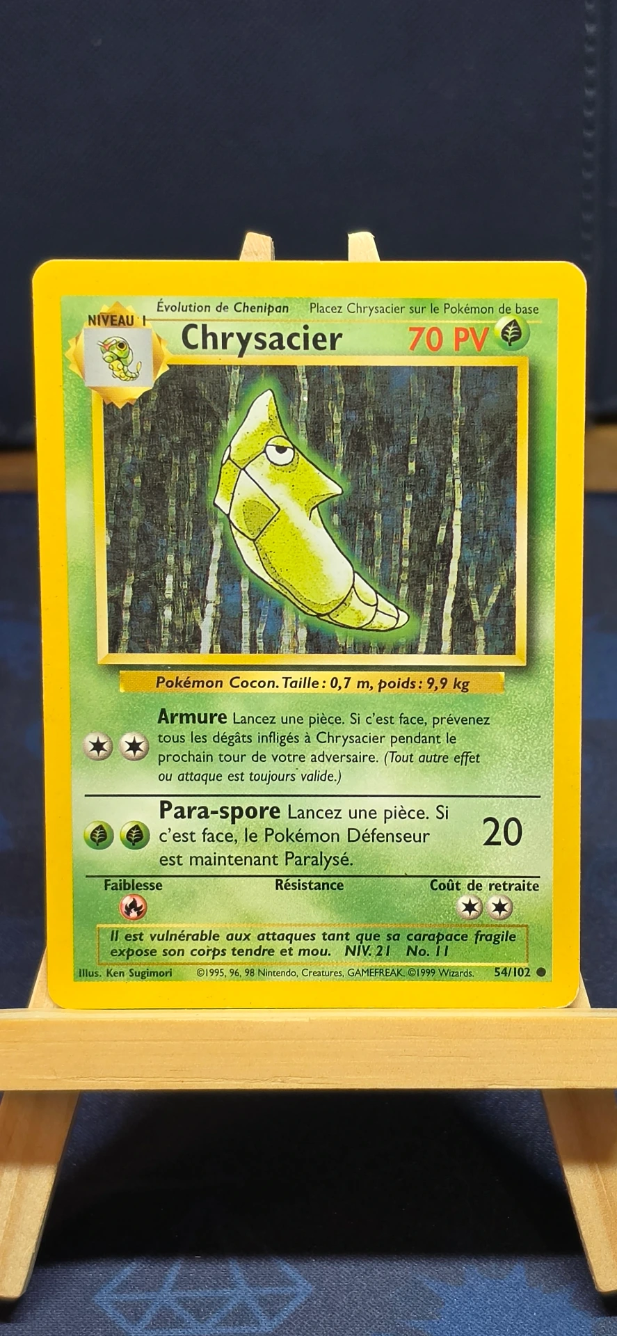 Chrysacier  - CARD000097