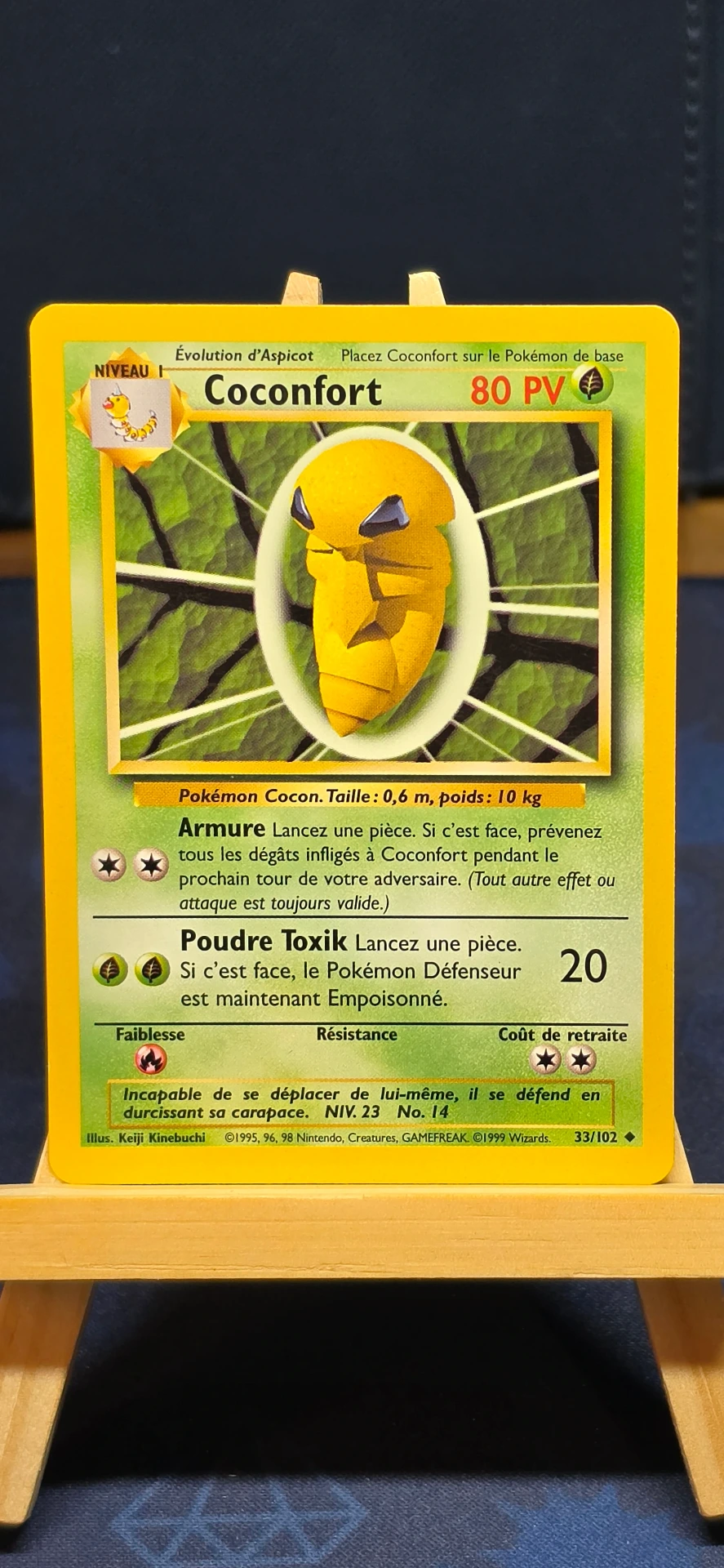 Coconfort  - CARD000100